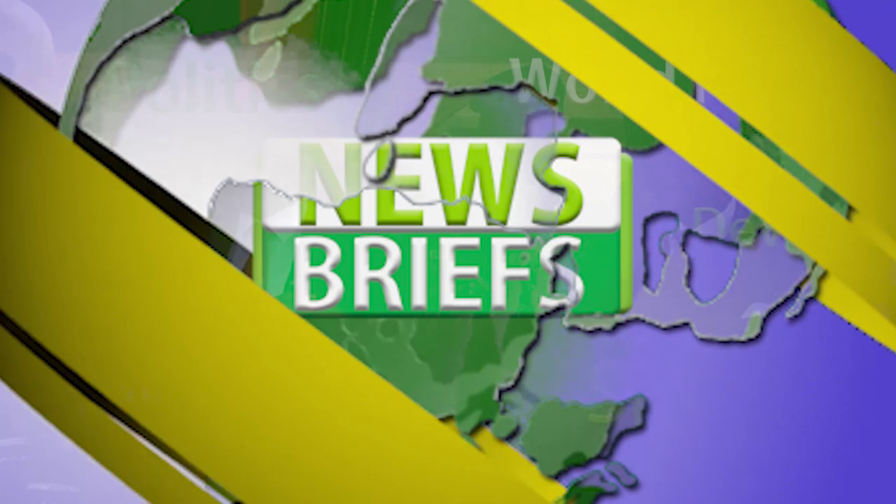 TV Islam News Briefs