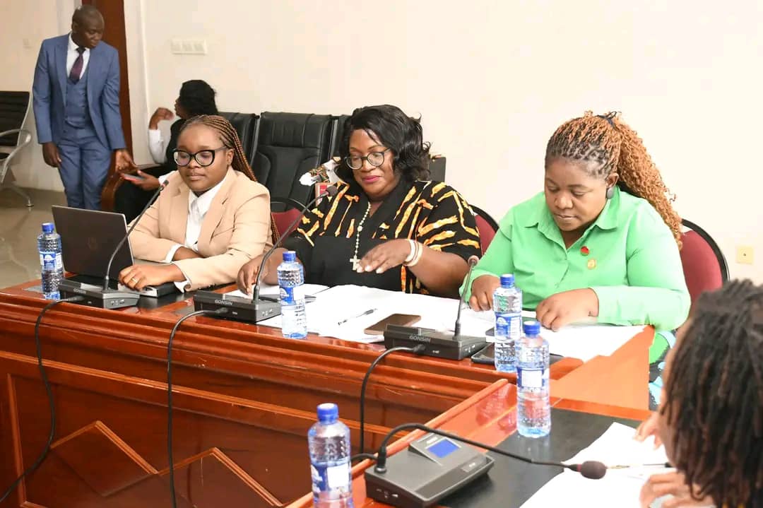 Parliamentary Women’s Caucus Engages Health Officials Over Maternal And Neonatal Care.